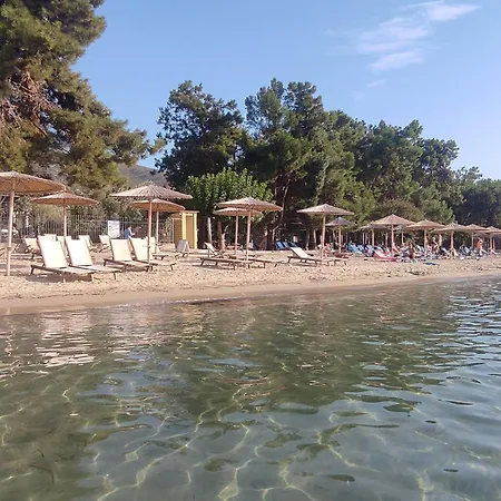 Tosti & Joy Skala Rachoni (Thasos)